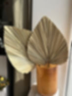 Džiovintas palmės lapas.