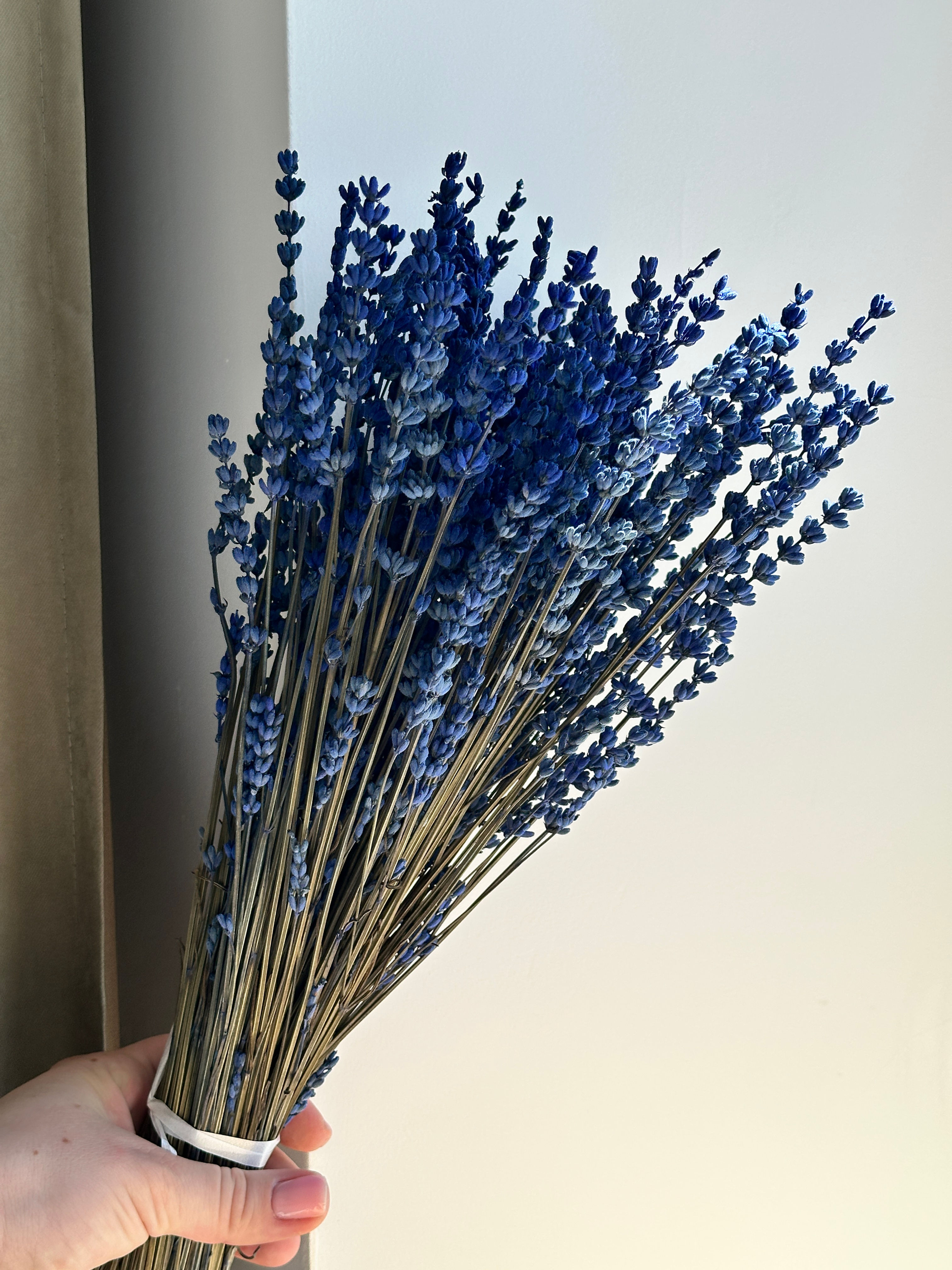 Stabilizuotos levandos