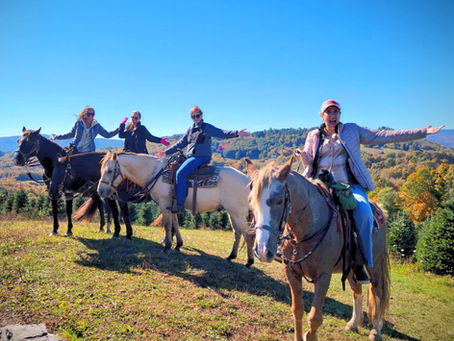 Ready for Adventure? Book your Trail Ride Experience