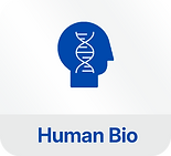 Human Bio.png