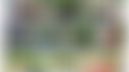 ミッケに行ったよ！