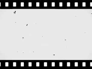 かがくの日～動画編～