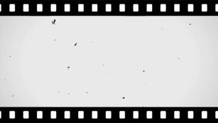 かがくの日～動画編～