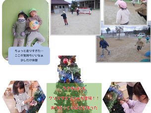 クリスマスツリーがうさぎ山に登場！！