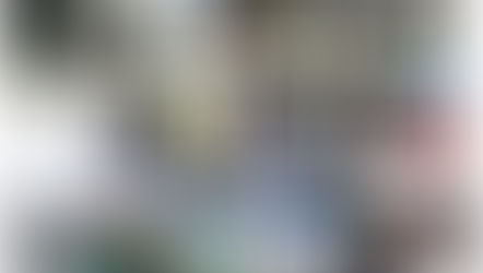 ゆったりお散歩！