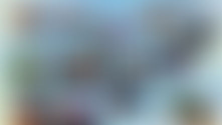 ミッケの日★雨の中でも楽しかったね！