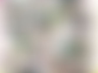 みんなで遊ぶの楽しいね♪