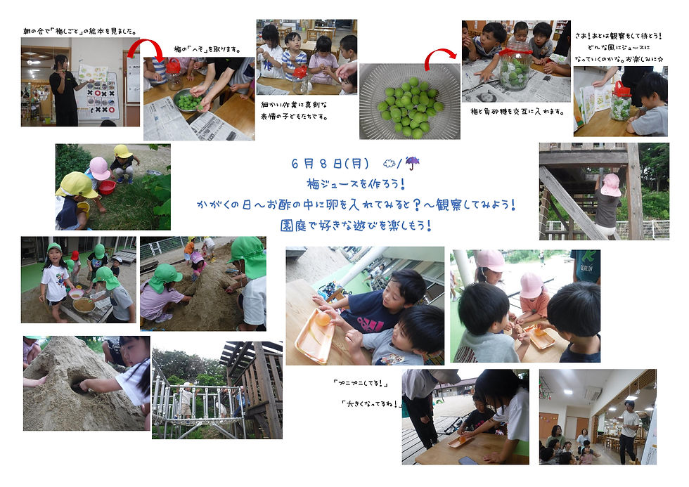 梅ジュース作りをしたよ！