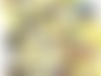 熱くなるほどたくさん遊んだよ