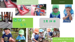 探検んの森へ！🌳