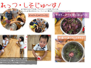 れっつ・しそじゅ～す