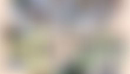 お正月遊び、楽しいね♪