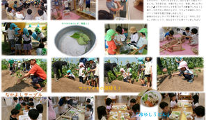 サツマイモ植えたよ！