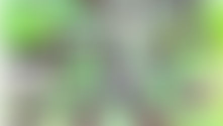 今週のにじ組さ～ん！！！🌈