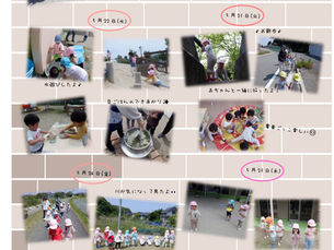 にじ組さんの一週間👀