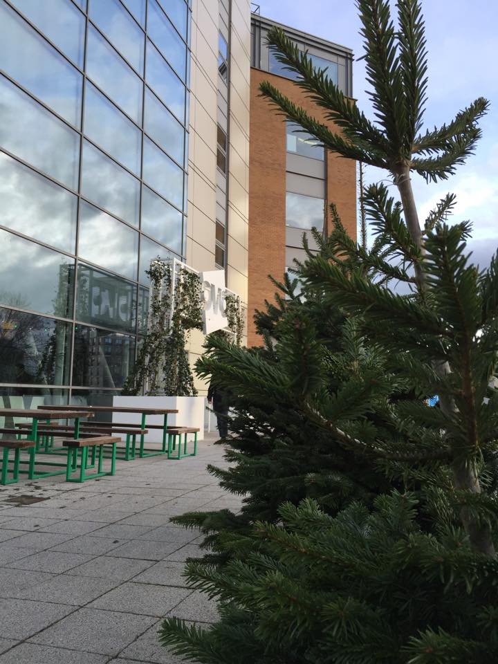 Bristol Real Christmas Trees Business Customers