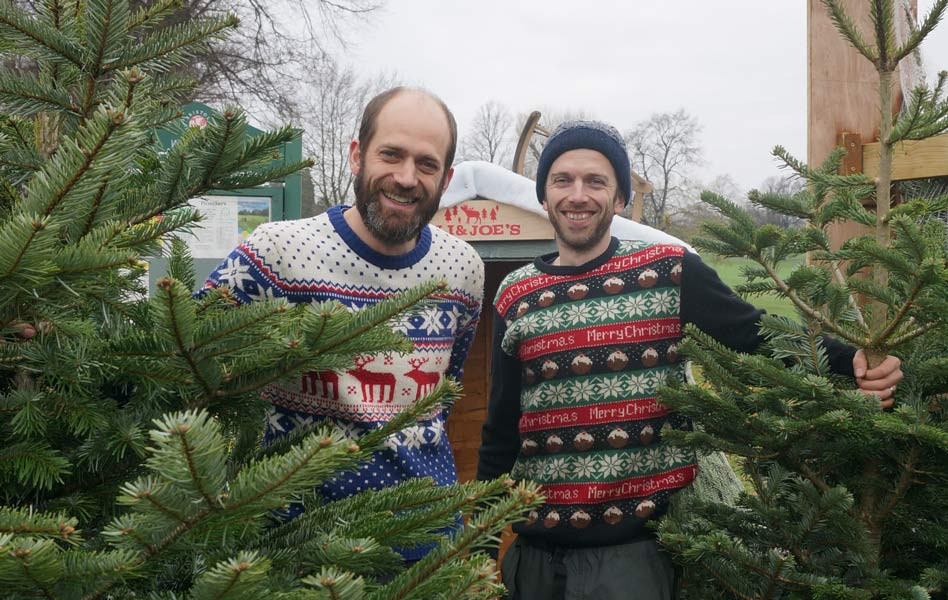 Real Christmas Trees Bristol and Bath Christmas Tree Rent and Delivery