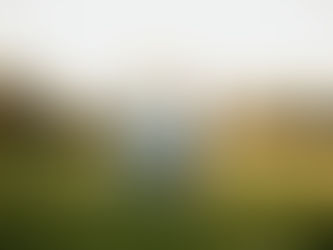 Barnard Family Mini Session in Knoxville