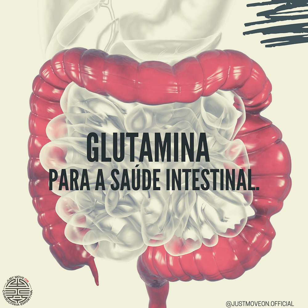 GLUTAMINA E SÍNDROME DO INTESTINO IRRITÁVEL – SII