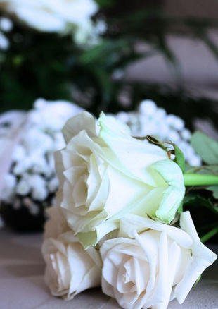 fiori bianchi