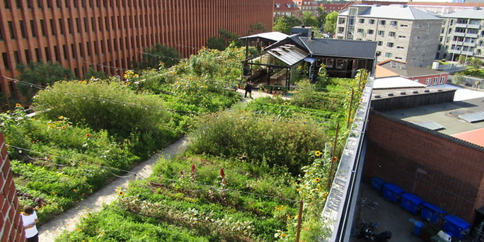 Carl Pickens Lecture: Urban Agriculture