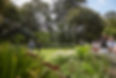 XantheWhiteDesign_ValleyRd_MtEden_2.jpg