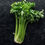 Thumbnail: SELLER, Itaalia (kast 3,5kg)