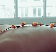 pexels-life-of-pix-7700.jpg