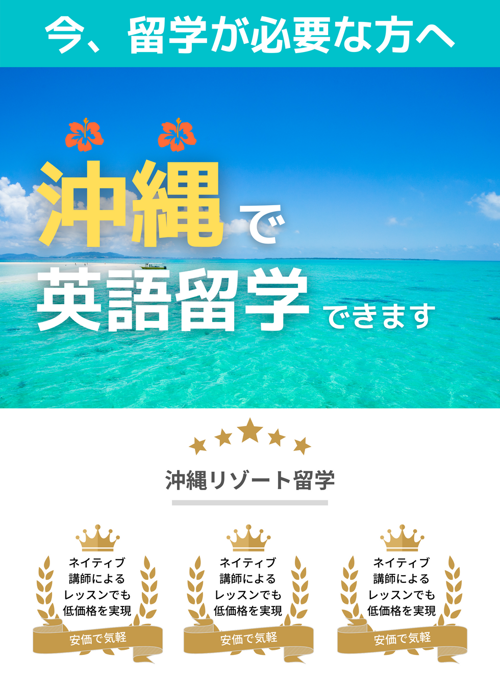 ネイティブ 講師による レッスンでも 低価格を実現のコピーのコピーのコヒ