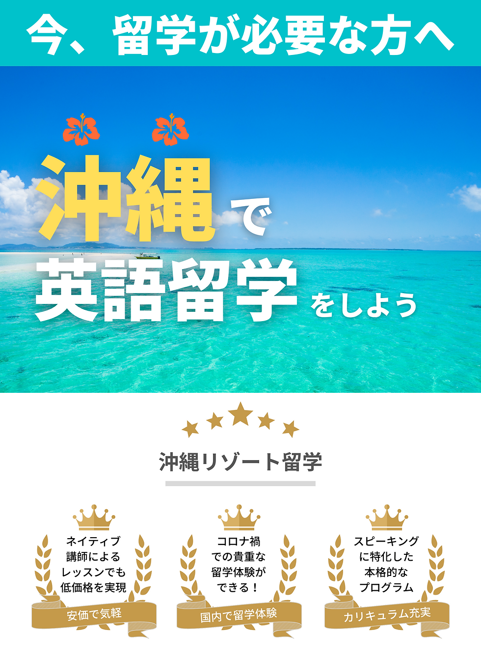 ネイティブ 講師による レッスンでも 低価格を実現のコピーのコピーのコヒ