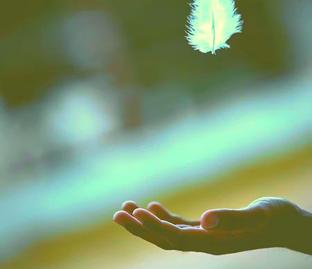 calm feather_edited.jpg