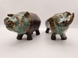 Pigs