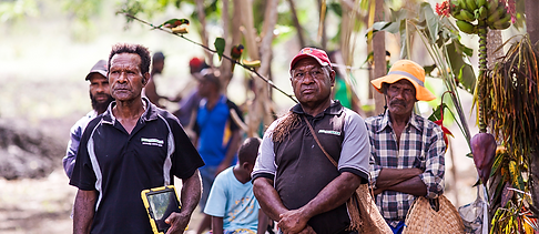 PNG Biomass, ESG, Sustainbility, FSC, Certification, Carbon Accounting, Offsets, Strategy