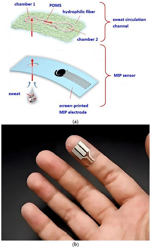 Wearable sweat sensors - molecularly imprinted polymers (MIP)
