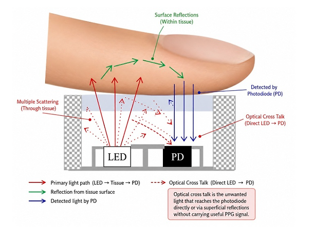 The Hidden Impact of Sensor Placement in Wearable Devices: How PPG and ECG Shape Wearable Design. Optical crosstalk visualized.