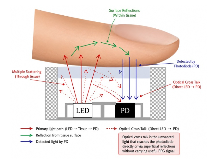 The Hidden Impact of Sensor Placement in Wearable Devices: How PPG and ECG Shape Wearable Design. Optical crosstalk visualized.