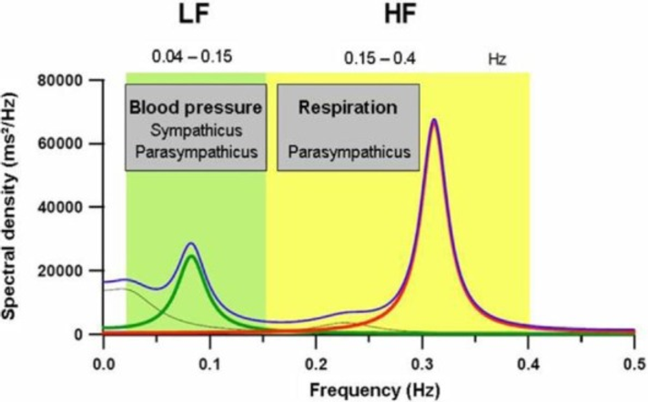 HRV Deep Dive: The Science Behind Your Heart's Hidden Rhythm - High frequency and low frequency power components