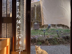 本日1名様のご宿泊です🌿02.26