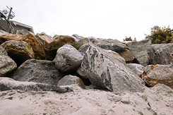 IMG_4889.jpg