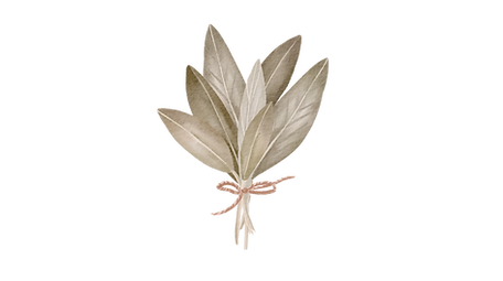 book your Class (6).png