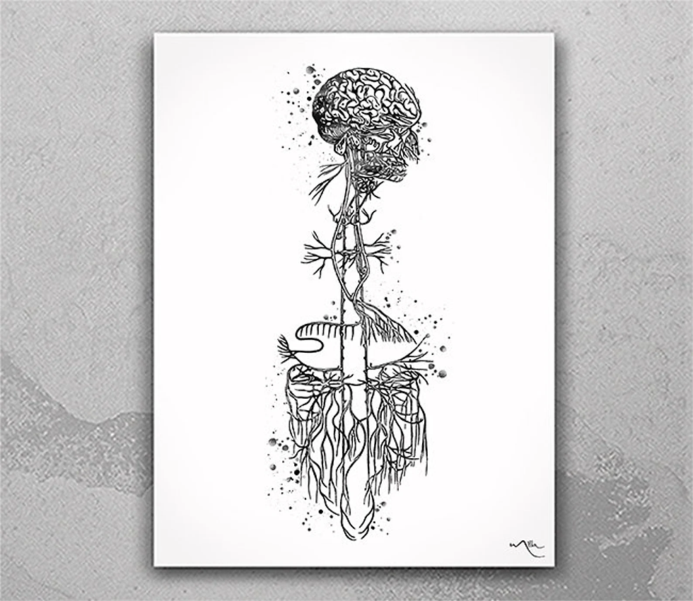 Rituals to Soothe the Vagus Nerve