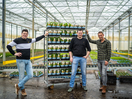 LIF Kruidentoren vanaf september op de markt
