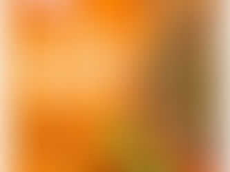 Dr. Oetker komt met vegan diepvriespizza