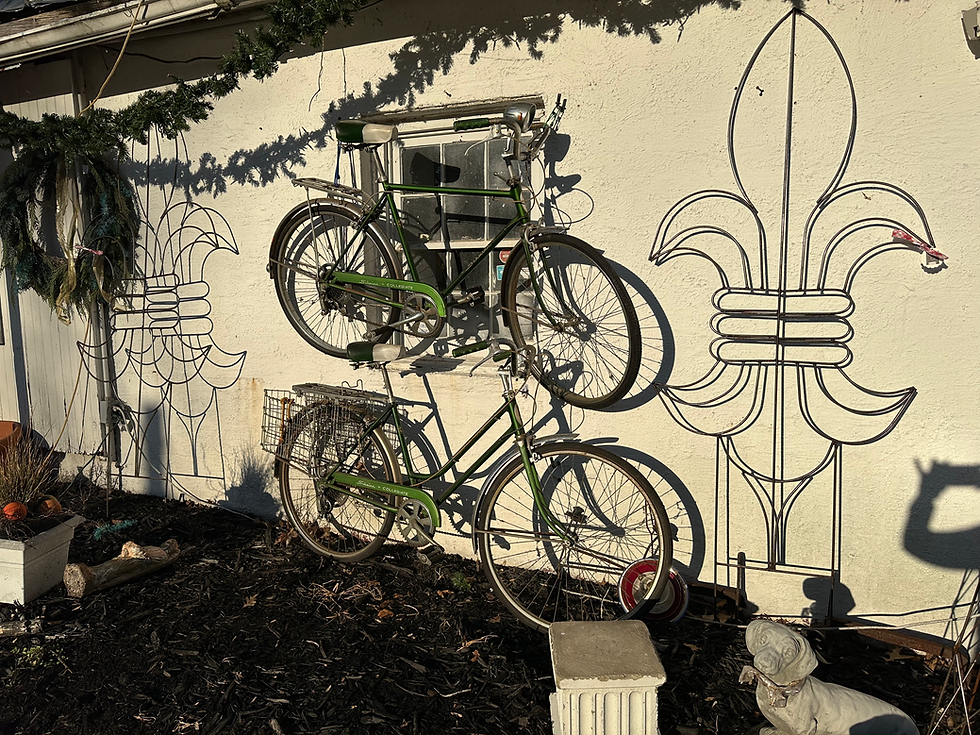Thumbnail: Pair of 1970’s Schwinn  Collegiate Bikes!