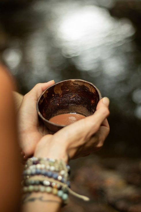 yoga retreat sri lanka january 2026