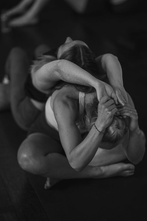 yoga and meditation retreat sri lanka january 2027