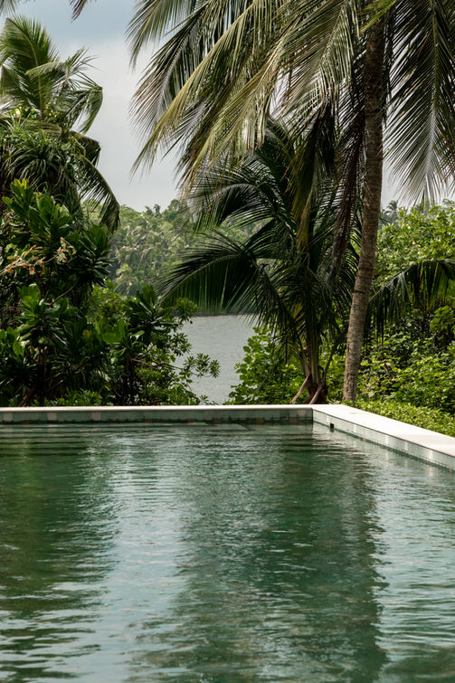 yoga and meditation retreat sri lanka january 2027