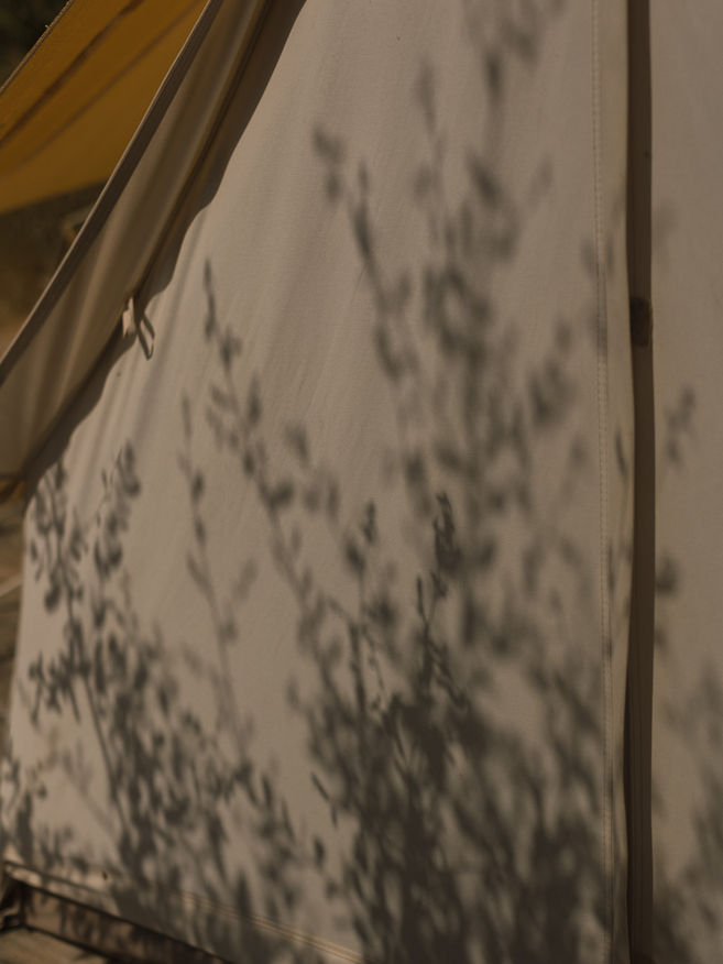 yoga retreat in Portugal, October, plant medicine retreat