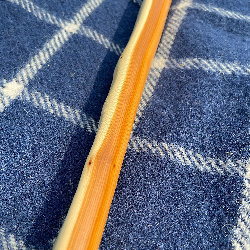 Thumbnail: Self Yew Longbow/Warbow