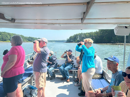 Birds of Casco Bay with Seacoast Tours August 2025 Trip Report.